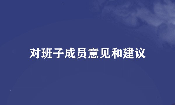 对班子成员意见和建议
