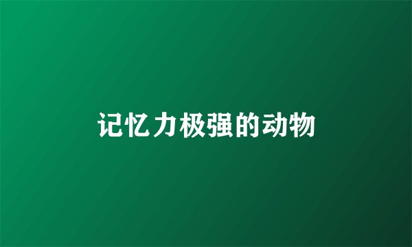 记忆力极强的动物