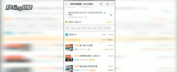 美团中如何美容宠物
