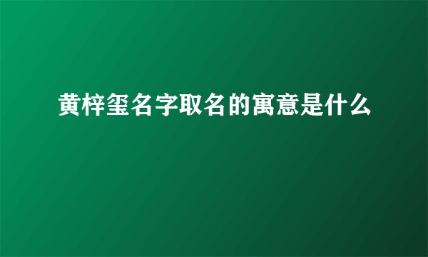 黄梓玺名字取名的寓意是什么