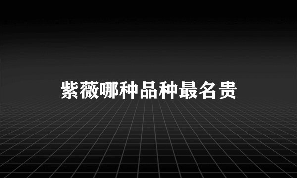 紫薇哪种品种最名贵