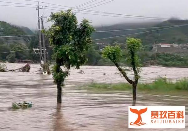 K396脱困乘客:走铁路钻树林9小时，900余名旅客和工作人员都平安
