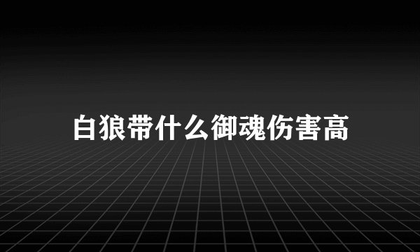 白狼带什么御魂伤害高