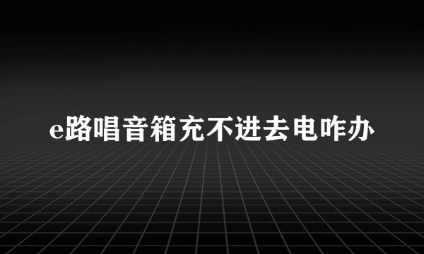 e路唱音箱充不进去电咋办
