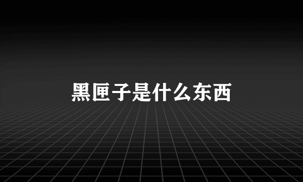 黑匣子是什么东西