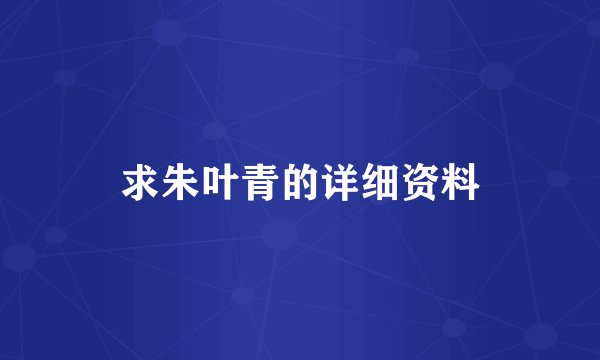 求朱叶青的详细资料