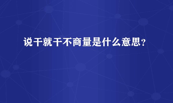 说干就干不商量是什么意思？