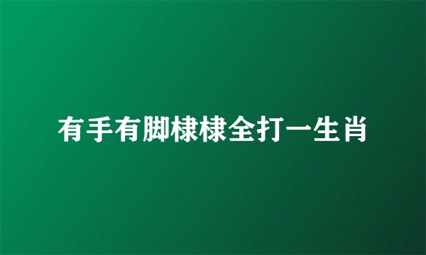 有手有脚棣棣全打一生肖