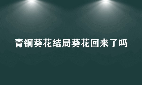 青铜葵花结局葵花回来了吗
