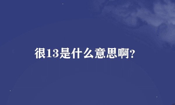 很13是什么意思啊？