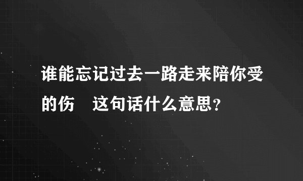 谁能忘记过去一路走来陪你受的伤 这句话什么意思？