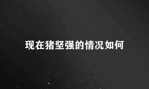 现在猪坚强的情况如何