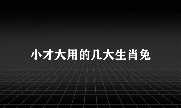 小才大用的几大生肖兔