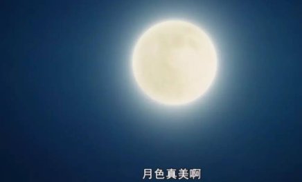 今晚的月色好美下一句是什么？