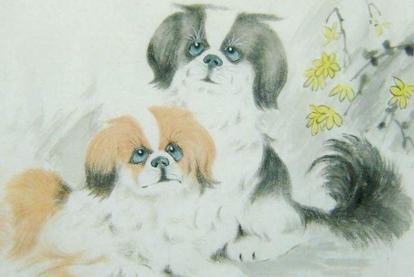 七平八稳是什么动物