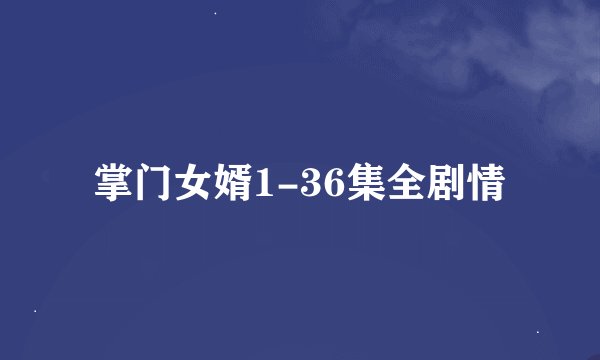 掌门女婿1-36集全剧情