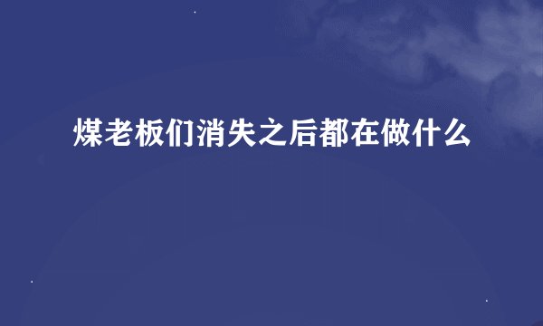 煤老板们消失之后都在做什么