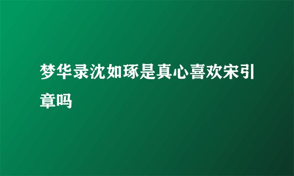 梦华录沈如琢是真心喜欢宋引章吗