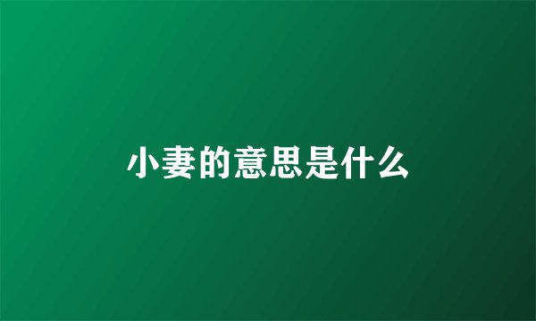 小妻的意思是什么
