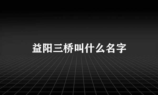 益阳三桥叫什么名字