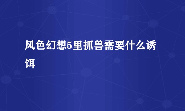 风色幻想5里抓兽需要什么诱饵