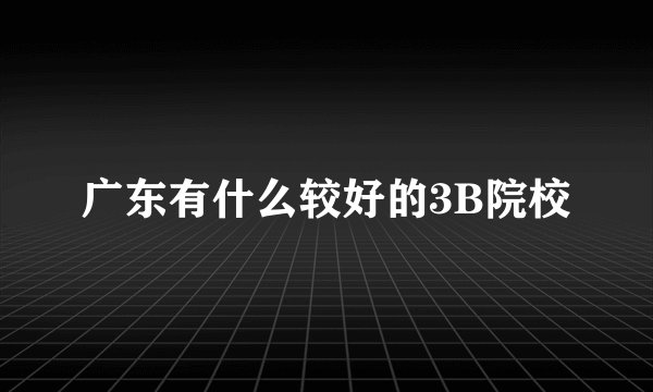 广东有什么较好的3B院校