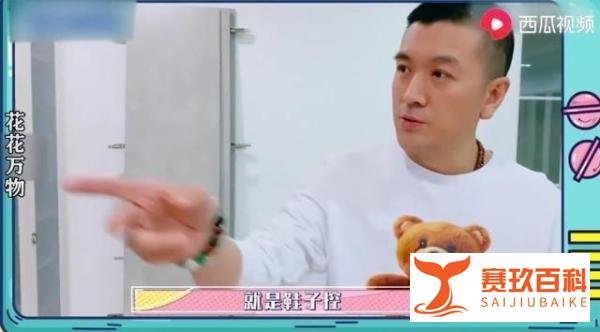 拼命洗白杨子救驾全网群嘲的黄圣依,恐成《浪姐》最大输家