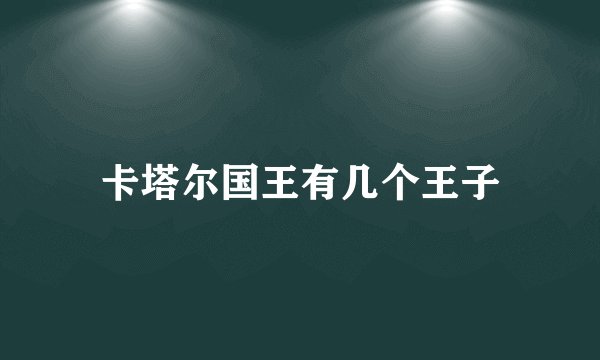 卡塔尔国王有几个王子