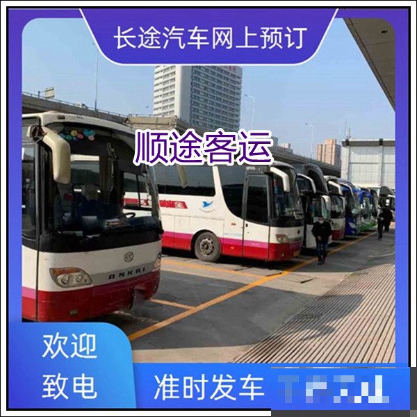葫芦岛到台集屯客车时间