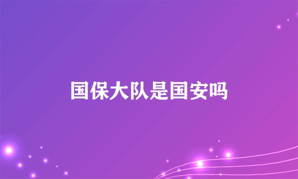 国保大队是国安吗