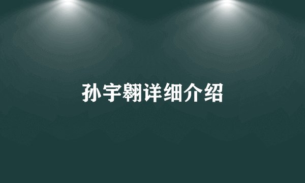 孙宇翱详细介绍