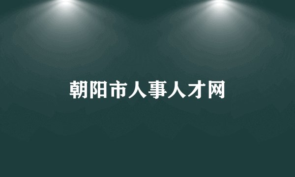 朝阳市人事人才网