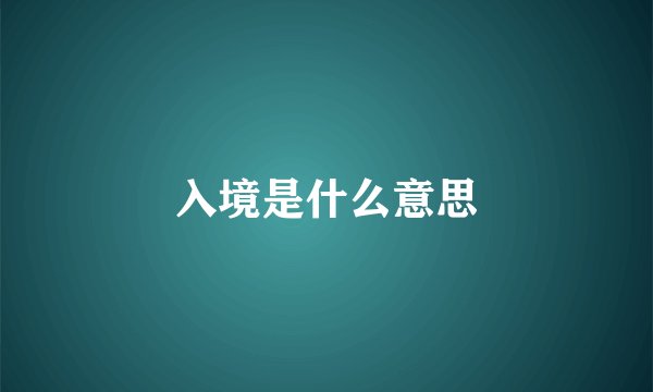 入境是什么意思