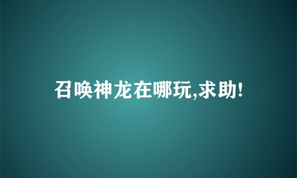 召唤神龙在哪玩,求助!