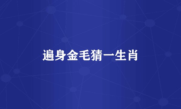 遍身金毛猜一生肖