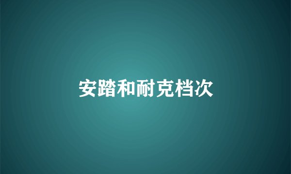 安踏和耐克档次