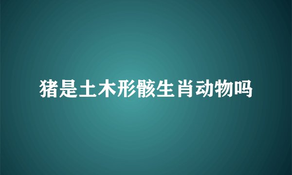 猪是土木形骸生肖动物吗
