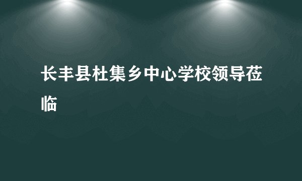 长丰县杜集乡中心学校领导莅临
