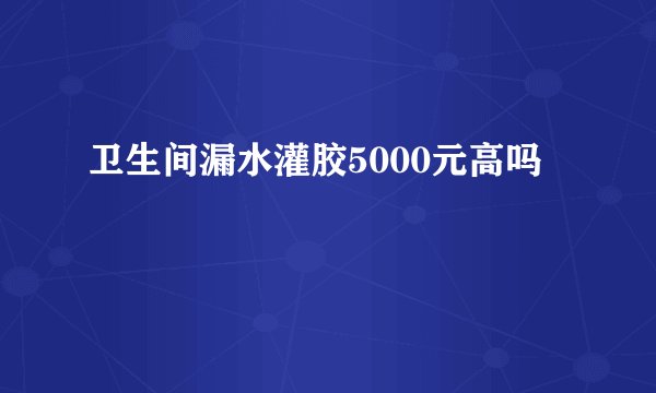 卫生间漏水灌胶5000元高吗