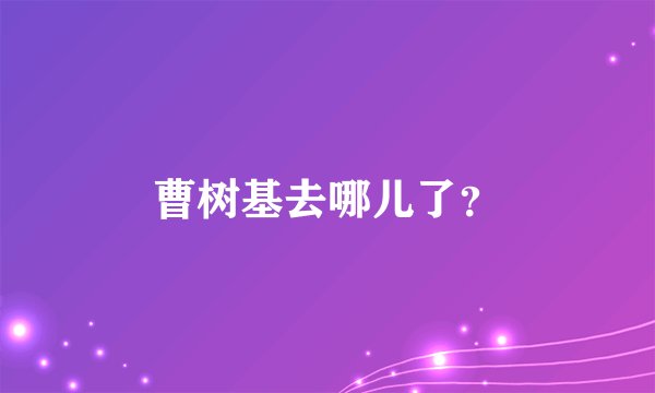 曹树基去哪儿了？
