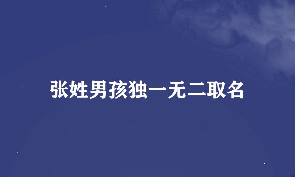 张姓男孩独一无二取名