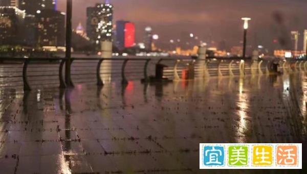 上海“外滩长草”引热议，不求真务实盲目辟谣，越辟越谣