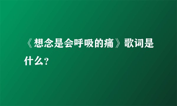 《想念是会呼吸的痛》歌词是什么？