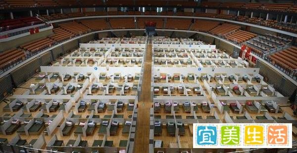 接英国小留学生包机回国:祖国,正悄悄爱着你