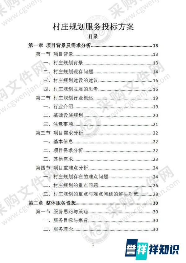 村庄规划服务投标方案怎么写？