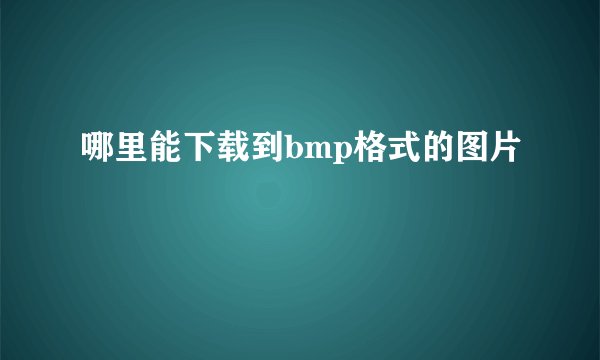 哪里能下载到bmp格式的图片