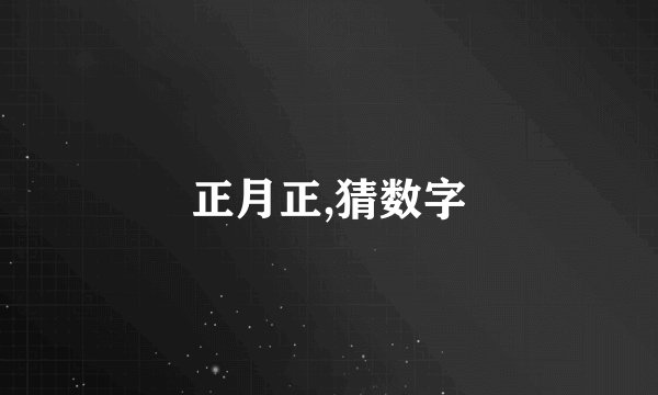 正月正,猜数字