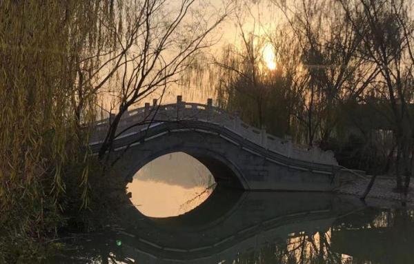 黄瓜，不仅仅是吃的