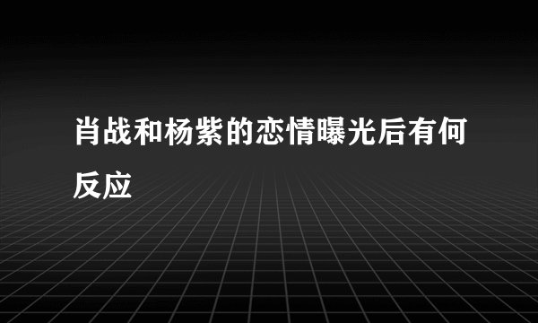 肖战和杨紫的恋情曝光后有何反应