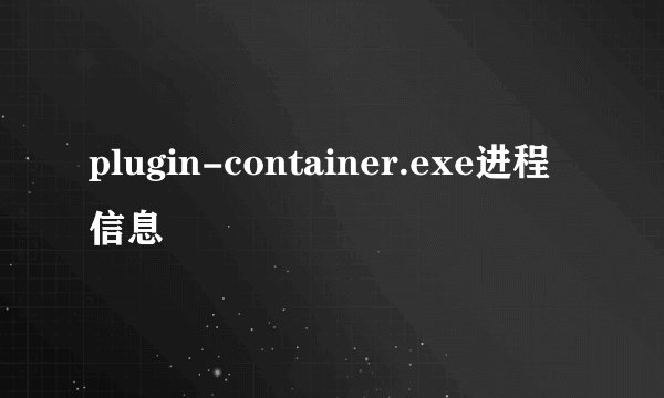 plugin-container.exe进程信息